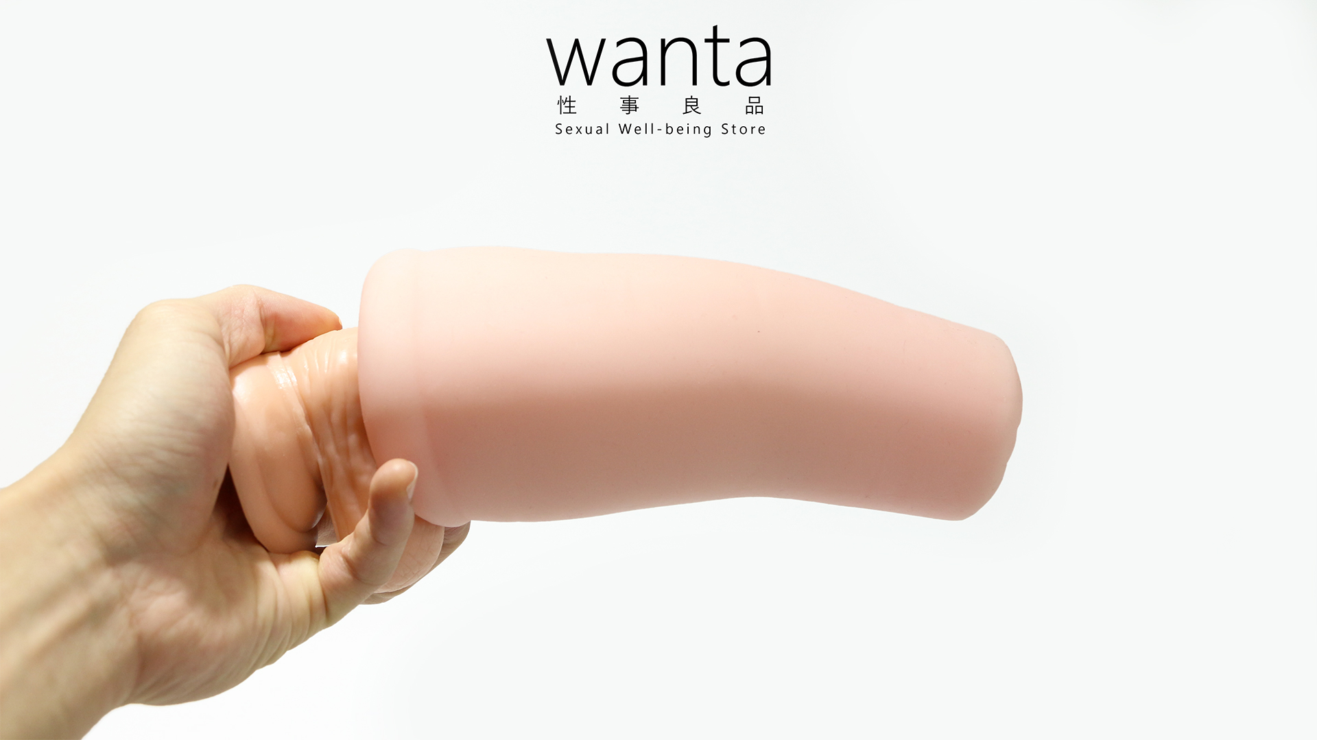 How to insert into a Onahole