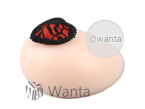 Wanta.co.uk - Toynary SM06 Lace Nipple Covers