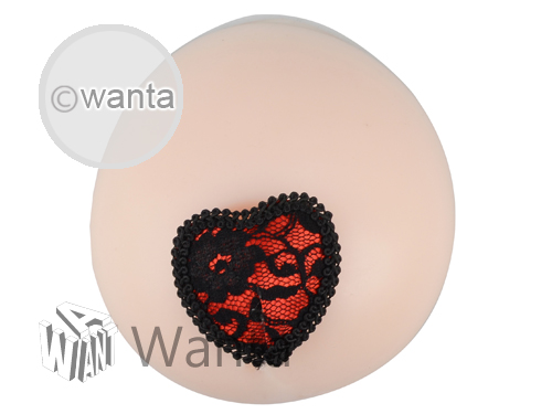 Wanta.co.uk - Toynary SM06 Lace Nipple Covers