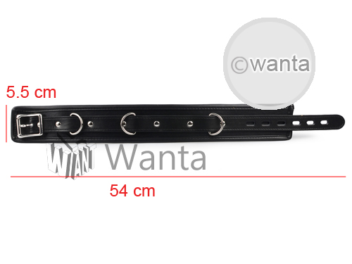 Wanta.co.uk - Toynary SM15 Choker Collar Leather