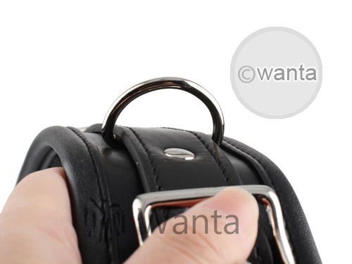 Wanta.co.uk - Toynary SM15 Choker Collar Leather