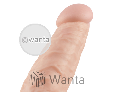 Wanta.co.uk- Toynary DL01 Dildo
