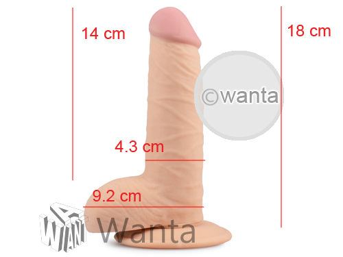 Wanta.co.uk - Toynary DL03 Dildo