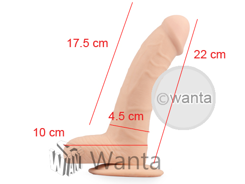 Toynary DL04 Dildo