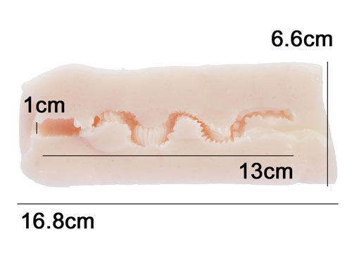 Ride Japan Crank Party - Wanta.co.uk