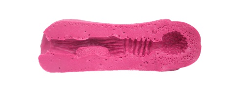 Toysheart SI-X Type.F